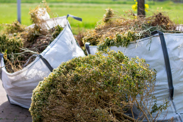 Best Professional Junk Removal  in North Plymouth, MA